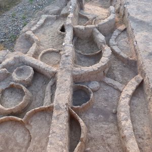 Early Neolithic Levels at Gadachrili Gora